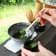 Matcha Picnic Set