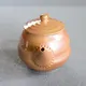 Kangetsuyaki Ushirode Kyusu